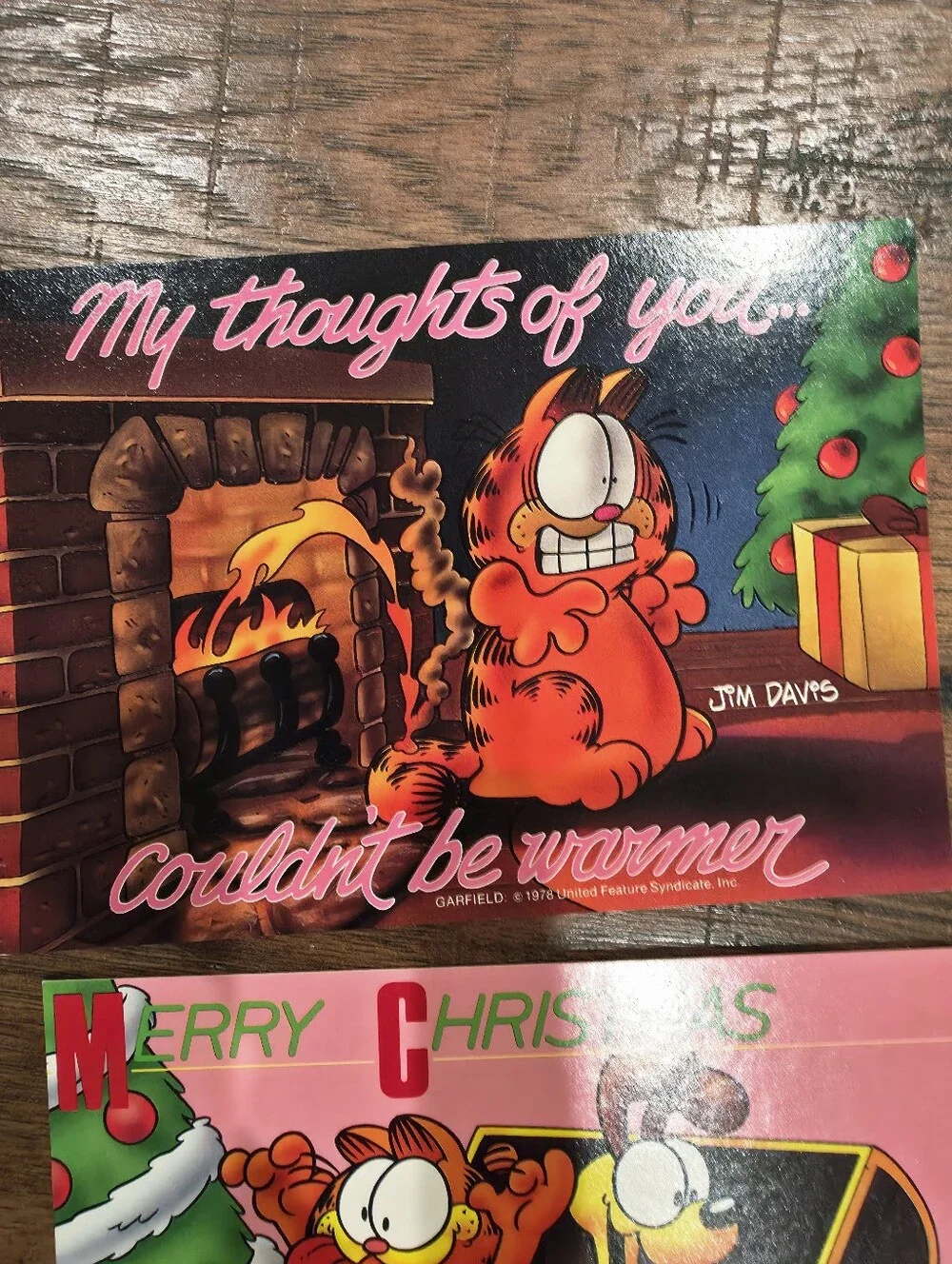 Garfield set themed